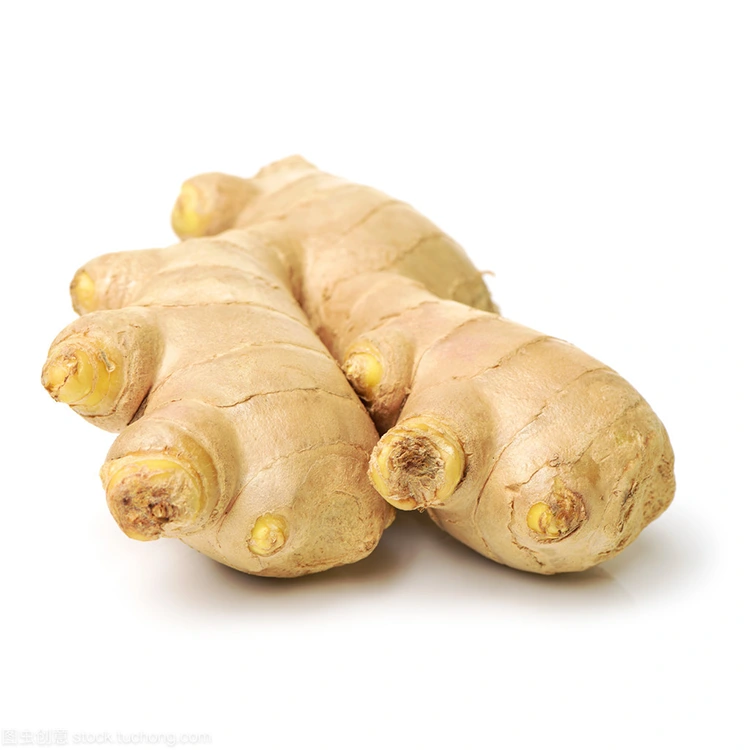 ហេតុអ្វី​បាន​ជា​ Premium Fresh Ginger ជា​ជម្រើស​ពេញ​ចិត្ត​សម្រាប់​អ្នក​ទិញ​ដែល​គិត​ពី​គុណភាព?