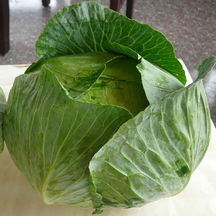 ស្ពៃក្តោបស្រស់