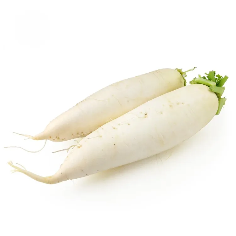 Radish ពណ៌សឆៅ