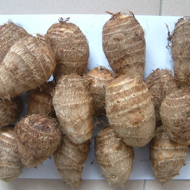 Field Taro ស្រស់