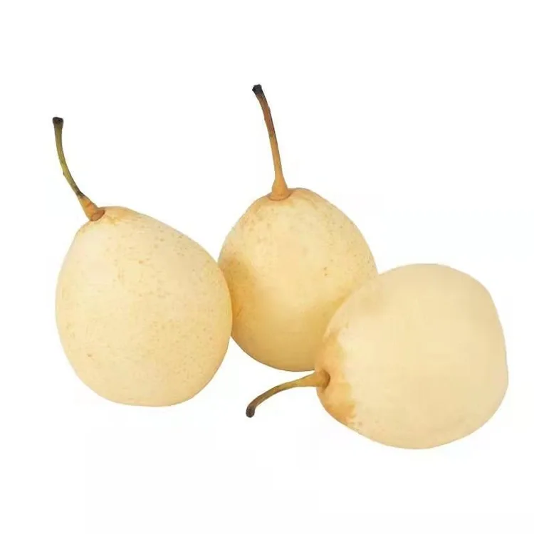 Ya Pear ទើបតែប្រមូលផលថ្មីៗ