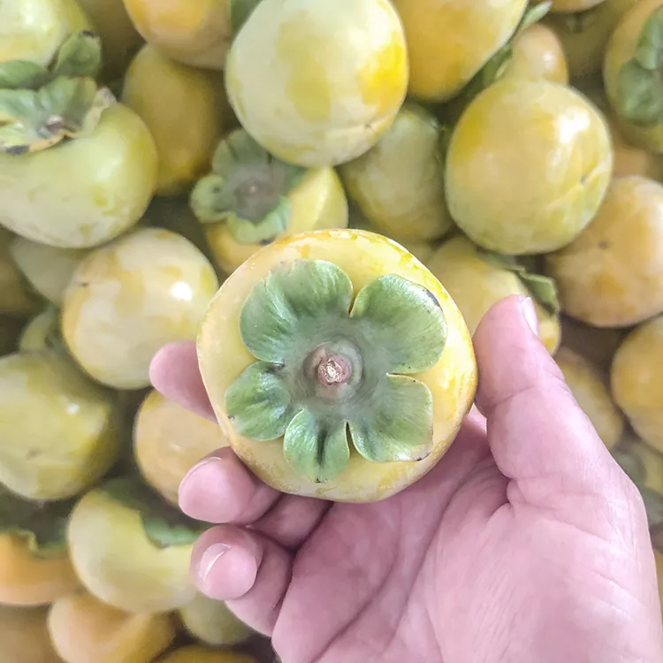 ផ្លែព្រីងស្រស់ពិសេស