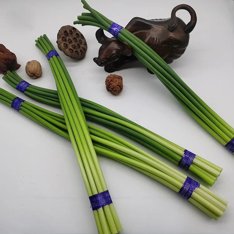 ឈុតខ្ទឹមស្រស់ពិសេស