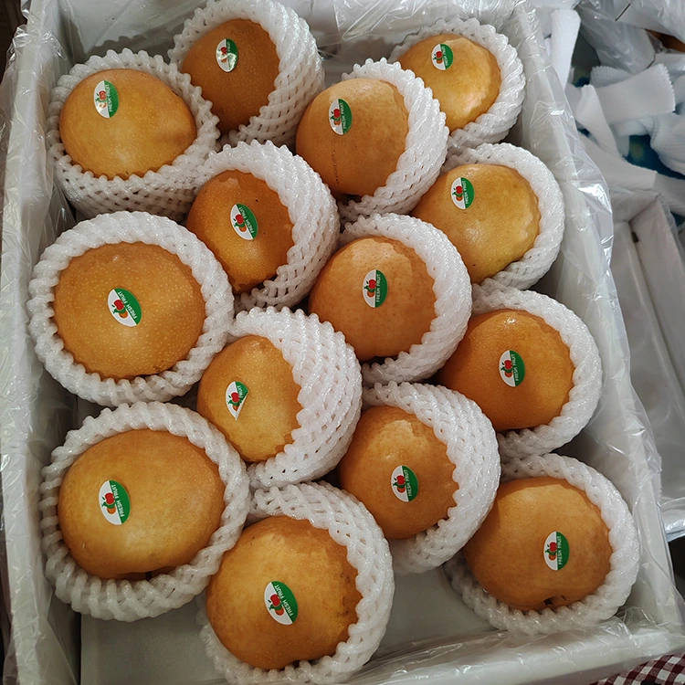 Shingo Pears ពិសេស