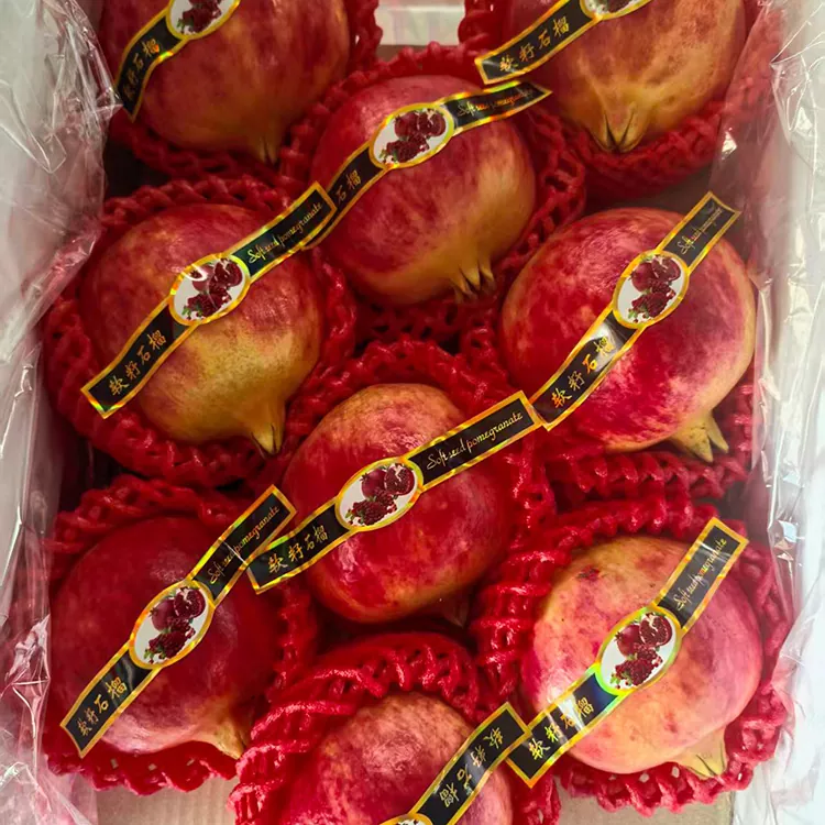 ផ្លែទទឹមពូជទន់ទុយនីស៊ីពិសេស