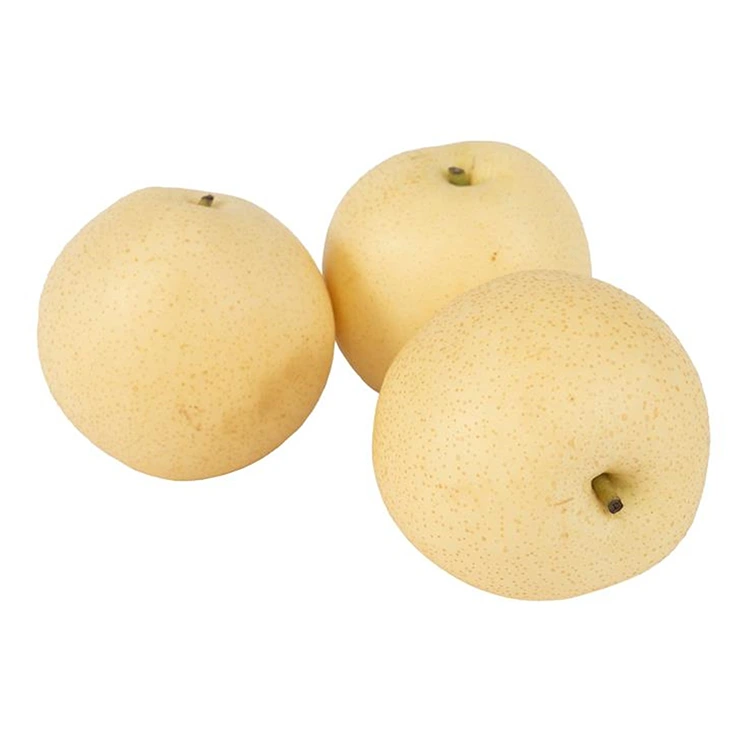 Crown Pears តាមរដូវ