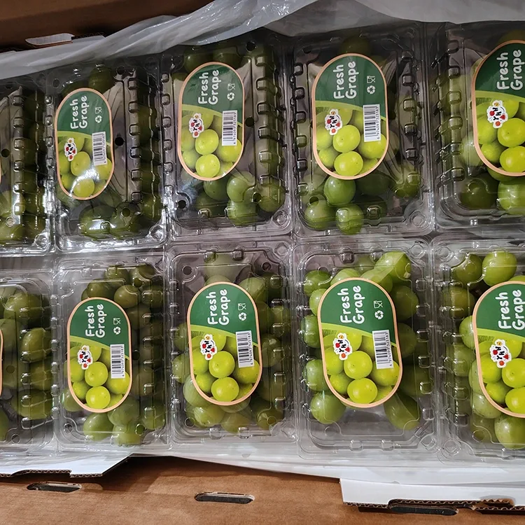 បានជ្រើសរើស Fresh Shine Muscat Grapes