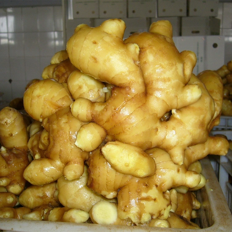 ខ្ញីស្រស់ ក្លិនក្រអូប
