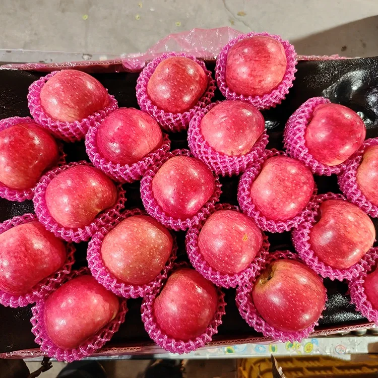 ផ្លែប៉ោមស្រស់ Jiguan ដ៏អស្ចារ្យ